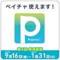 paycha_vol4.jpg