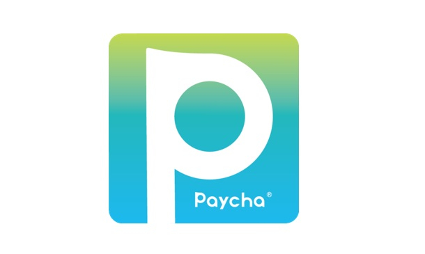 第９回Paycha販売について